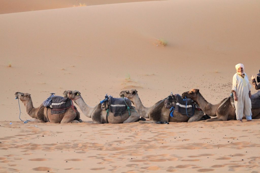 Vive Como un Nómada en el Desierto con los Bereberes del Sahara