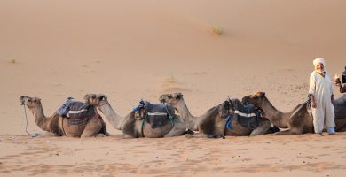 Vive Como un Nómada en el Desierto con los Bereberes del Sahara