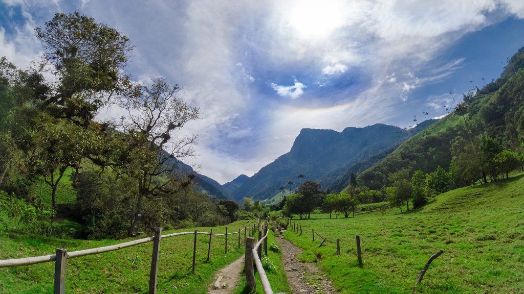Salento, viaje barato para disfrutar de la naturaleza y el café de Colombia